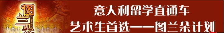 图兰朵计划